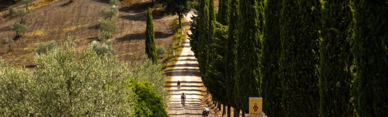 Eventi campagna Chianti