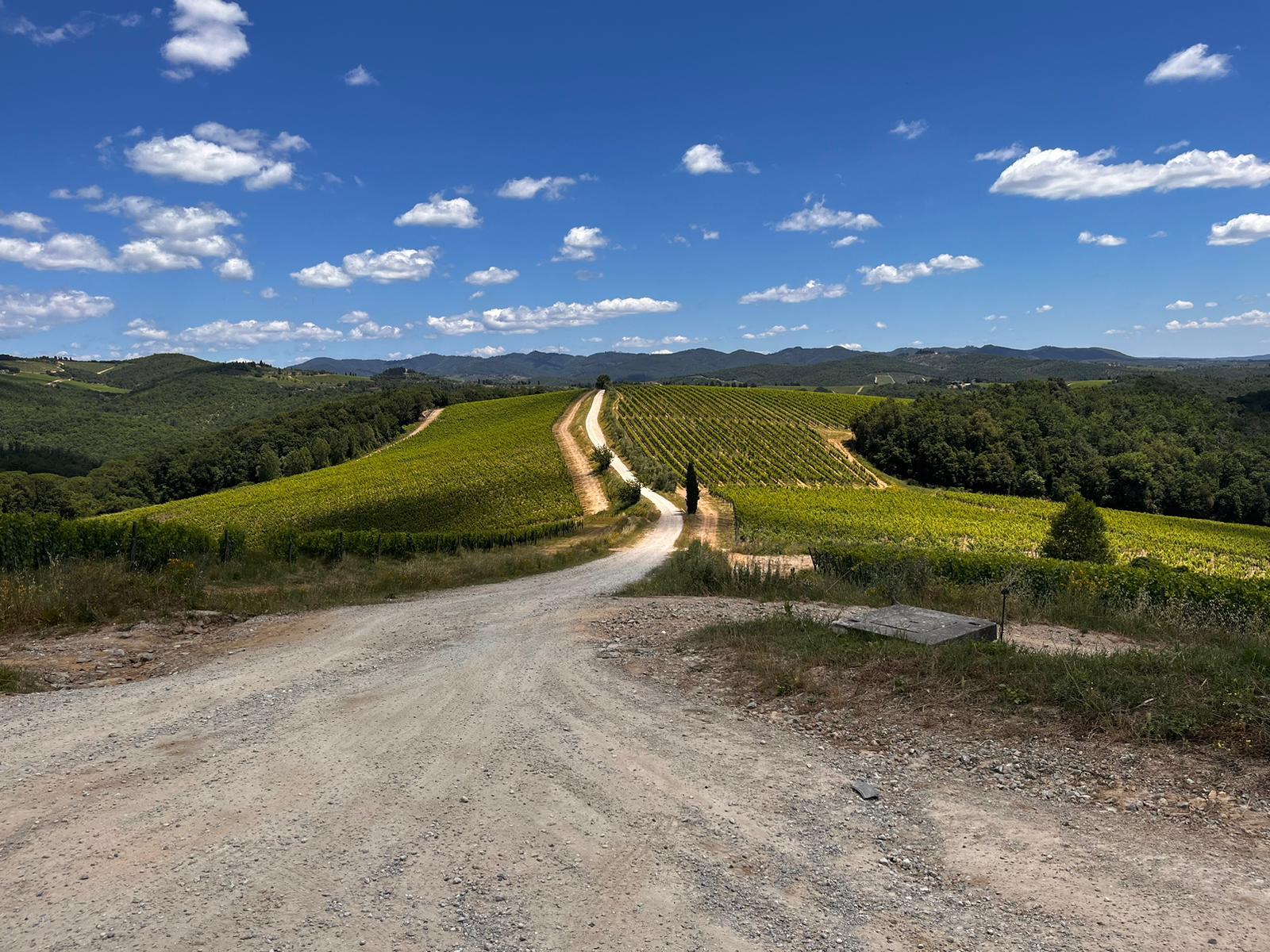 Vista panoramica del Chianti