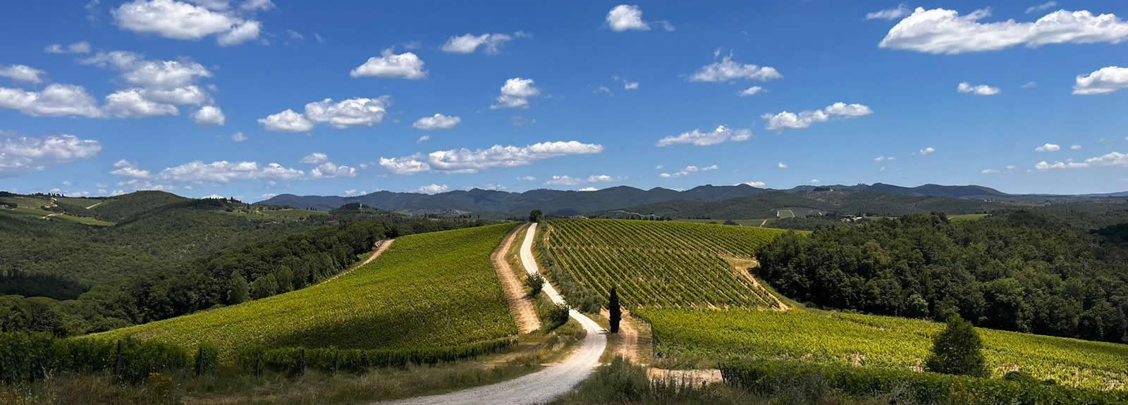 Panoramica campagna Chianti