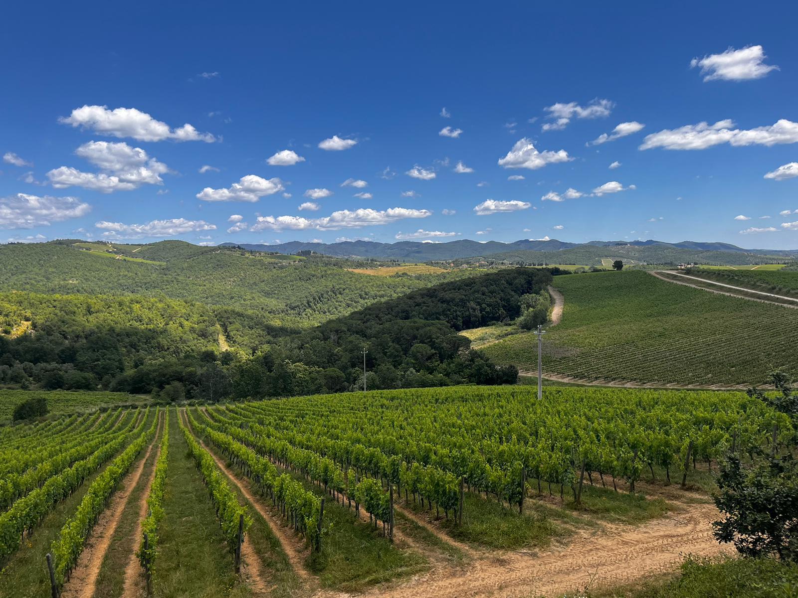 Panoramica campagna Chianti
